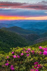 Shenandoah National Park, Virginia, United States