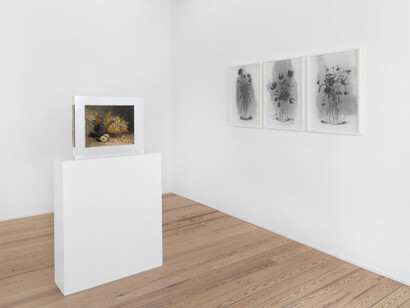 Various artists, Ce sont les fleurs qui ont changé, exhibition view. Courtesy of Galerie Lange + Pult