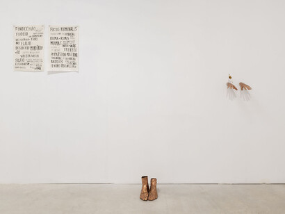 Blanca Gracia, Mala hierba nunca muere (Weeds never die), exhibition view. Courtesy Prats Nogueras Blanchard Barcelona/Madrid. Photo by Roberto Ruiz