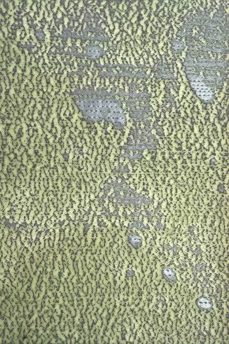 Dominique De Beir, Alteration (detail), 2014. Courtesy of Hopstreet Gallery