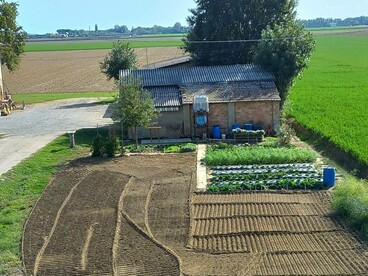Mariella Busi de Logu, Verità terrestre