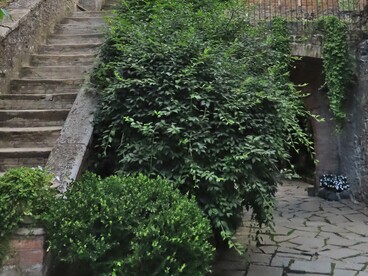 Il Castello di Gropparello si trova in Emilia-Romagna ed è immerso in uno spettacolare paesaggio naturale, arroccato su uno sperone roccioso sopra un canyon. Gropparello, Emilia-Romagna, Italia
