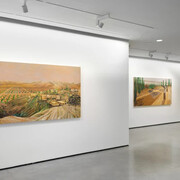 Cheryl Molnar, The overview, exhibition view. Courtesy of C24 Gallery