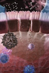 Microbiome and menthal health