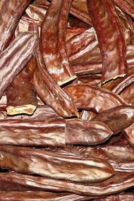 Vagens de alfarroba. O seu aroma é semelhante ao cacau, e por isso, a farinha de alfarroba é utilizada como seu sucedâneo. Contudo, outras características diferenciam-nos