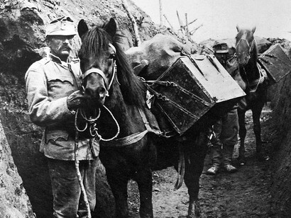 Men in uniform with a horse in a First World War trench, captured in a historical Fortepan photograph