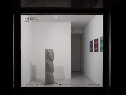 Marisa Ferreira, Econarratives of a trembling Earth, vista da exposição. Cortesia da Galeria Presença
