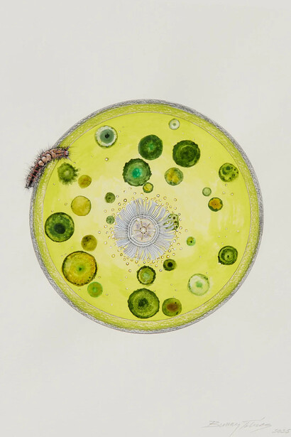 Bunny Tobias, Here is what moves in magnificent masses careless of particulars (#6), 2025. Courtesy of form & concept gallery