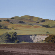 Bruce Everett, Canada de Los Alisos, 2024. Courtesy of Billis/Williams Gallery