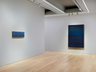 Teresita Fernández, Liquid horizon, exhibition view. Courtesy of Lehmann Maupin