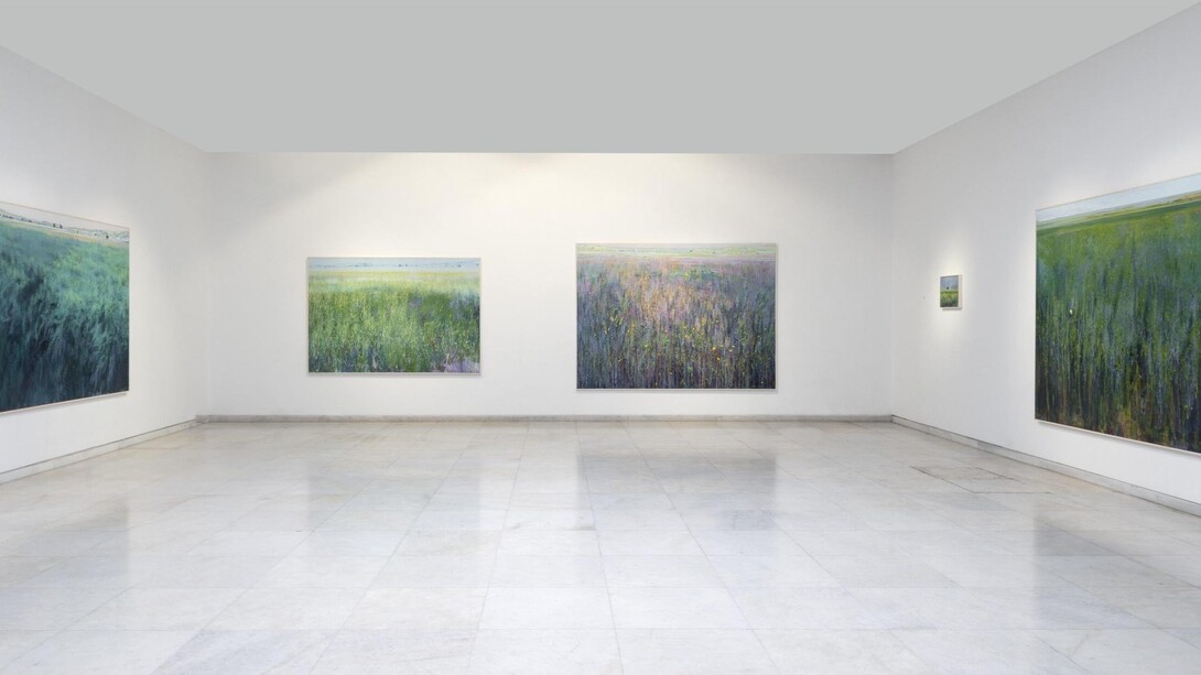 Miltos Golemas, Plateau, exhibition view. Courtesy of Zoumboulakis Galleries