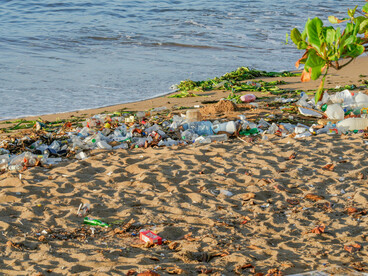 Consuming more than is necessary or that the planet can replenish harms ecosystems and human well-being