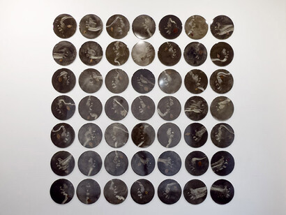 Lidó Rico, De rerum naturae, ausstellungsansicht. Mit freundlicher genehmigung der Luisa Catucci Gallery