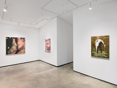 Various artists, Morning haze, exhibition view. Courtesy of Lazy Mike Gallery