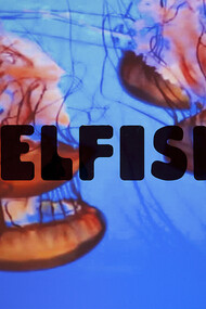 Pedro Cabral Santo, Selfish, 2014, vídeo-instalação. Cortesia Mirian Nogueira Tavares 