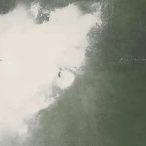 Tacita Dean, Navalny (detail), 2026. Courtesy of Marian Goodman Gallery 