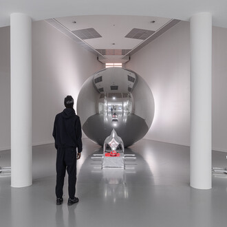 Stef Van Looveren, Cosmic body. First incision, vue de l'exposition. Avec l'aimable autorisation de M HKA