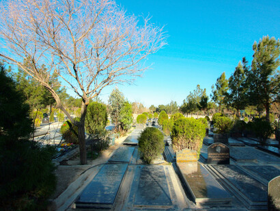 Hay una gran nube negra en el cielo, porque hasta aquí llega la estela de los misiles, porque tengo amigos que no pudieron volar, otros iban en el aire y regresaron al aeropuerto de partida... hay personas que llevaron a sus hijas al colegio por la mañana y un tremendo hijo de puta hizo explotar el colegio entero.  Cementerio Behesht-e Zahra, Teherán, Irán