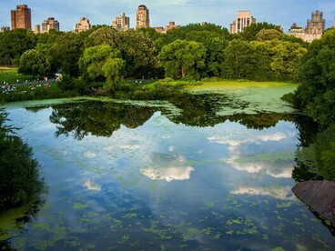 Walking paths and open views of water are proven to support cardiovascular health and reduce cortisol levels