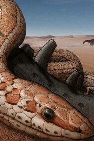 Earth serpent slithering in the desert 