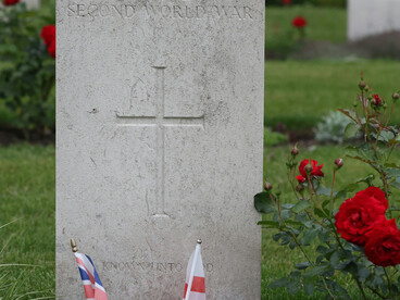 Red roses placed on a World War II war grave in Geel Cemetery, Flanders, Belgium