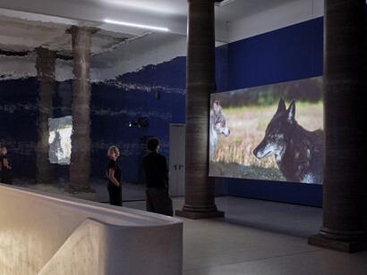 Asta Gröting, Ein wolf, primaten und eine atemkurve, ausstellungsansicht. Mit freundlicher genehmigung des Museums Städel