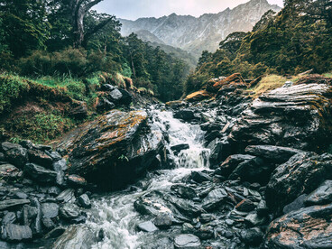 Cette image illustre la fluidité du processus d’individuation, tel qu’évoqué par Miguel Espinoza, où la continuité naturelle s’apparente à une dynamique d’émergence