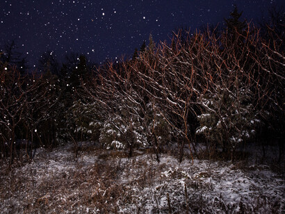 Lois Bielefeld and Marzena Ziejka, Its own pristine devices. Courtesy of Portrait Society