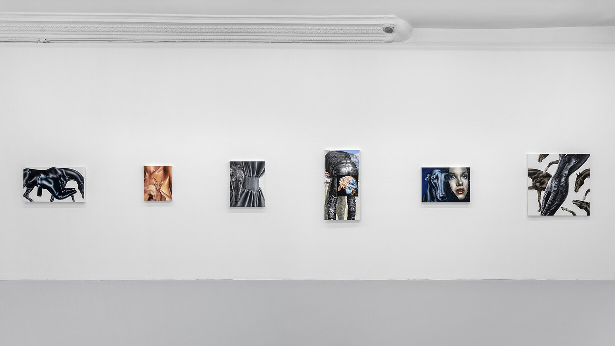 Margaux Valengin, A world of part-object phantasies, vue de l'exposition. Avec l'aimable autorisation de la Galerie Pact