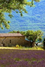 Un rifugio in Provenza
