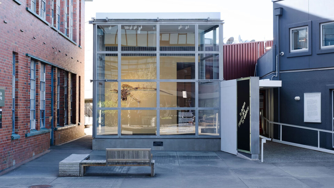 Ross Hemera, Tahito: a bird for the future, exhibition view. Courtesy of Te Pātaka Toi Adam Art Gallery