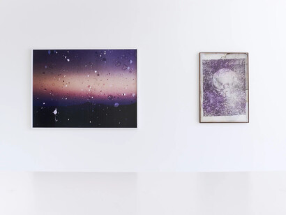 Douglas Mandry, Les archives de la planète, exhibition view. Courtesy of Bildhalle Gallery