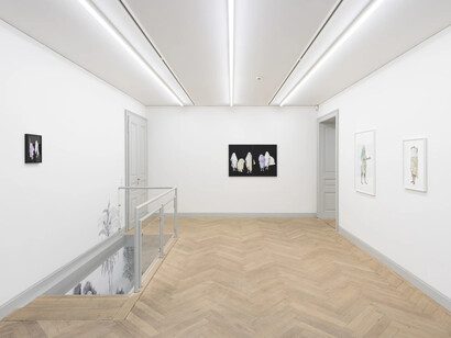 Ishita Chakraborty, I recall the forest inside me, ausstellungsansicht. Mit freundlicher genehmigung der Galerie Peter Kilchmann