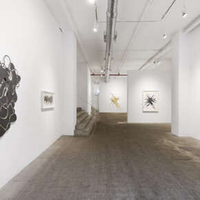 Andreas Kocks, Keep your eyes open, exhibition view. Courtesy of Winston Wächter Fine Art