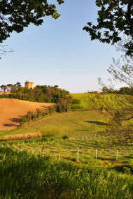 Colline romagnole, Torre di Oriolo dei Fichi, Faenza, Italia
