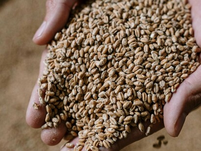 Pois, o desespero popular brasileiro transparece num raso conhecimento das matérias inatas do Comércio Exterior, diretamente ligados à política internacional, revelando talvez um possível aviso para se, quando sair do BRICs, resolver grande parte do imbróglio doméstico inclusive