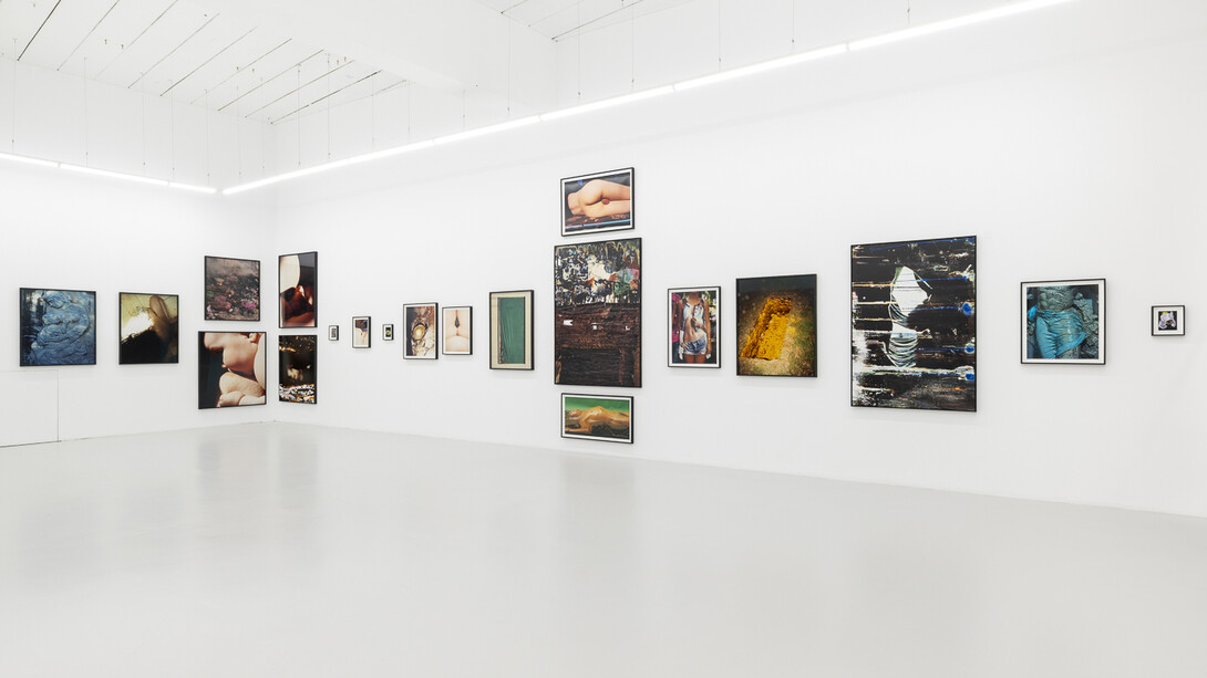 The garden, installation view. ©Harley Weir. Courtesy the artist and Hannah Barry Gallery, London, UK. Photography by ©Damian Griffiths