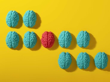  Incluir é oferecer meios para que todos, cada qual com sua natureza, tenham condições de executar uma atividade ou um aprendizado