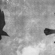 © Ayline Olukman, Our wild lives III. Two birds (detail), 2025. Courtesy of Tobe Gallery