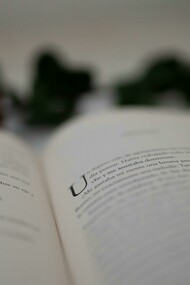 Une rose et un roman : les histoires d'amour du Goncourt finissent-elles toutes mal ? 
