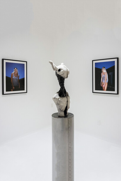 Serena Creciente, Delirio óseo (Osseous delirium), exhibition view. Courtesy of Hilario Galguera Gallery