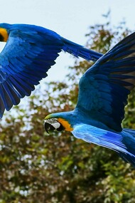 A 30ª Conferência das Nações Unidas sobre Mudanças Climáticas será realizada em Belém, Brasil, de 10 a 21 de novembro de 2025. Enquanto o ser humano é uma res cogitans, uma substância pensante, a natureza é uma res extensa, uma substância extensa e impenetrável. Como Deus é pensamento humano sobre o infinito, o ser humano está imensamente mais próximo de Deus do que a natureza