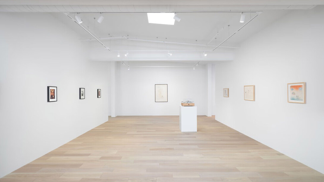 Lynn Hershman Leeson, Deep fake, exhibition view. Courtesy of Hoffman Donahue Gallery