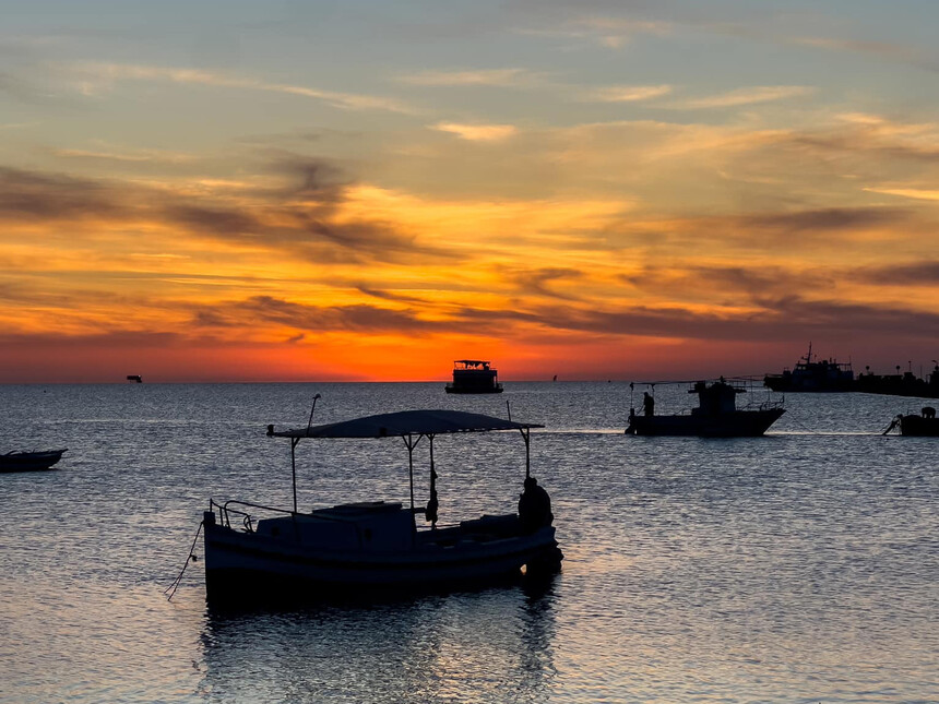 Tunisia: the magnet for foreign artists