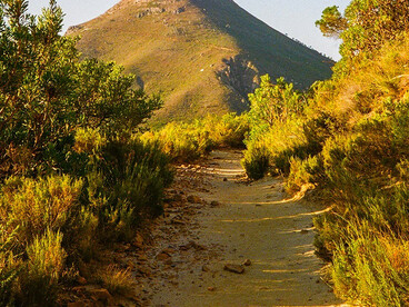 Lion's Head in the afternoon rays, Cape Town, photographed by Jade Stephens