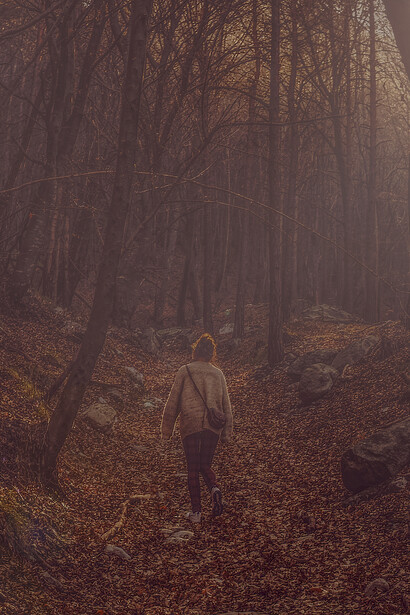 À travers la forêt, la quête de la scène et de la lumière