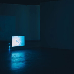 Dynasty. Can we shape our destiny? Exhibition view. Courtesy of SAC Gallery