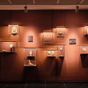 Verschiedene künstler, Anatomie der fragilität – Körperbilder in kunst und wissenschaft, ausstellungsansicht. Mit freundlicher genehmigung des Frankfurter Kunstvereins