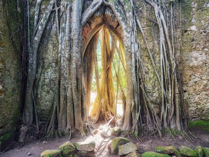 Aurelien Villette, Monserrate palace's chapel Sintra, Portugal 2014. Courtesy of Galleria Forni