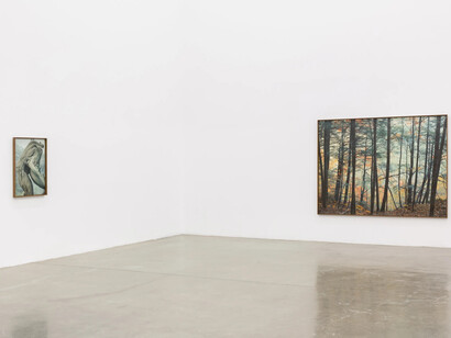 Benjamin Langford, Scenes and images, exhibition view. Courtesy of Ochi Gallery